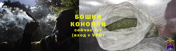 сатива Киренск