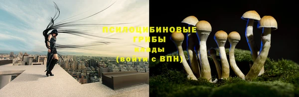 стафф Кинешма