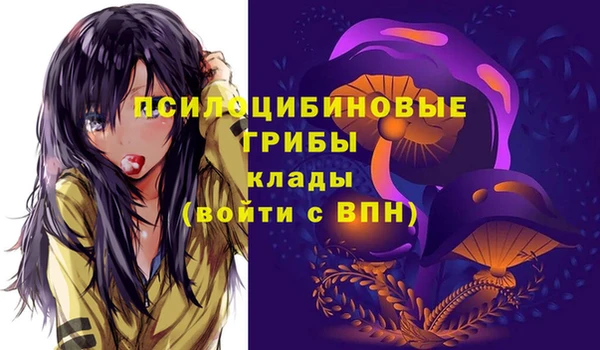 стафф Кинешма