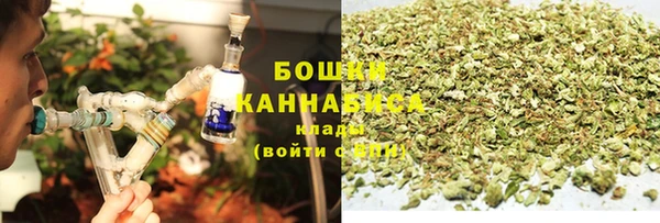 дурь Киреевск