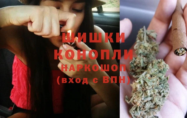 сатива Киренск